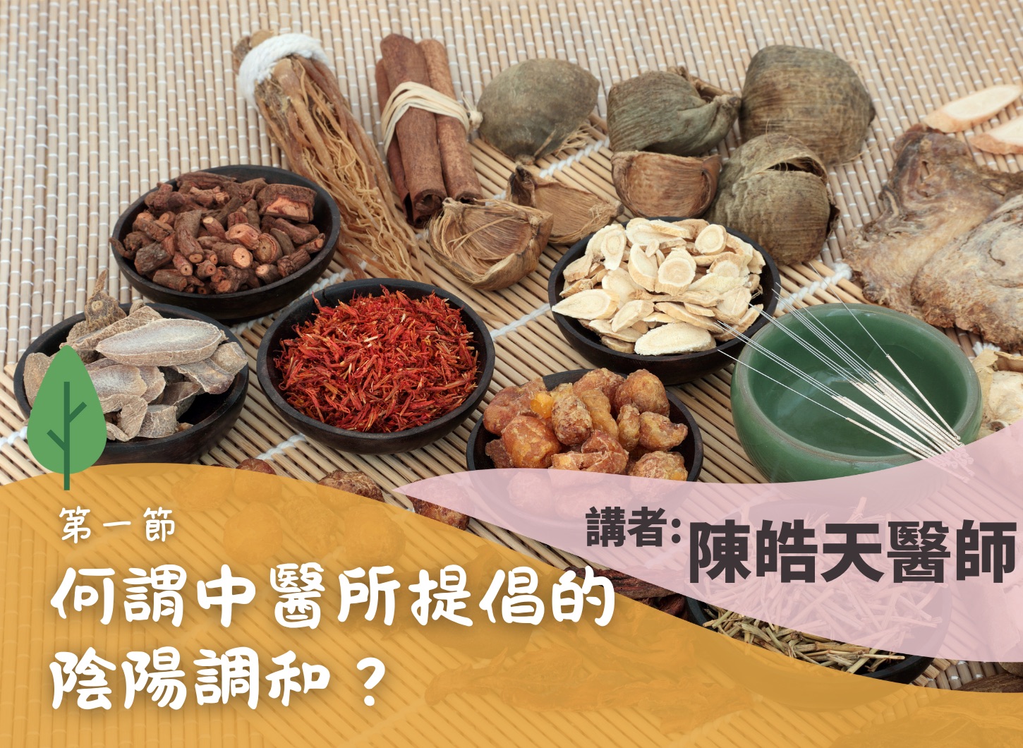 《從陰陽調和達至家庭幸福》第一節